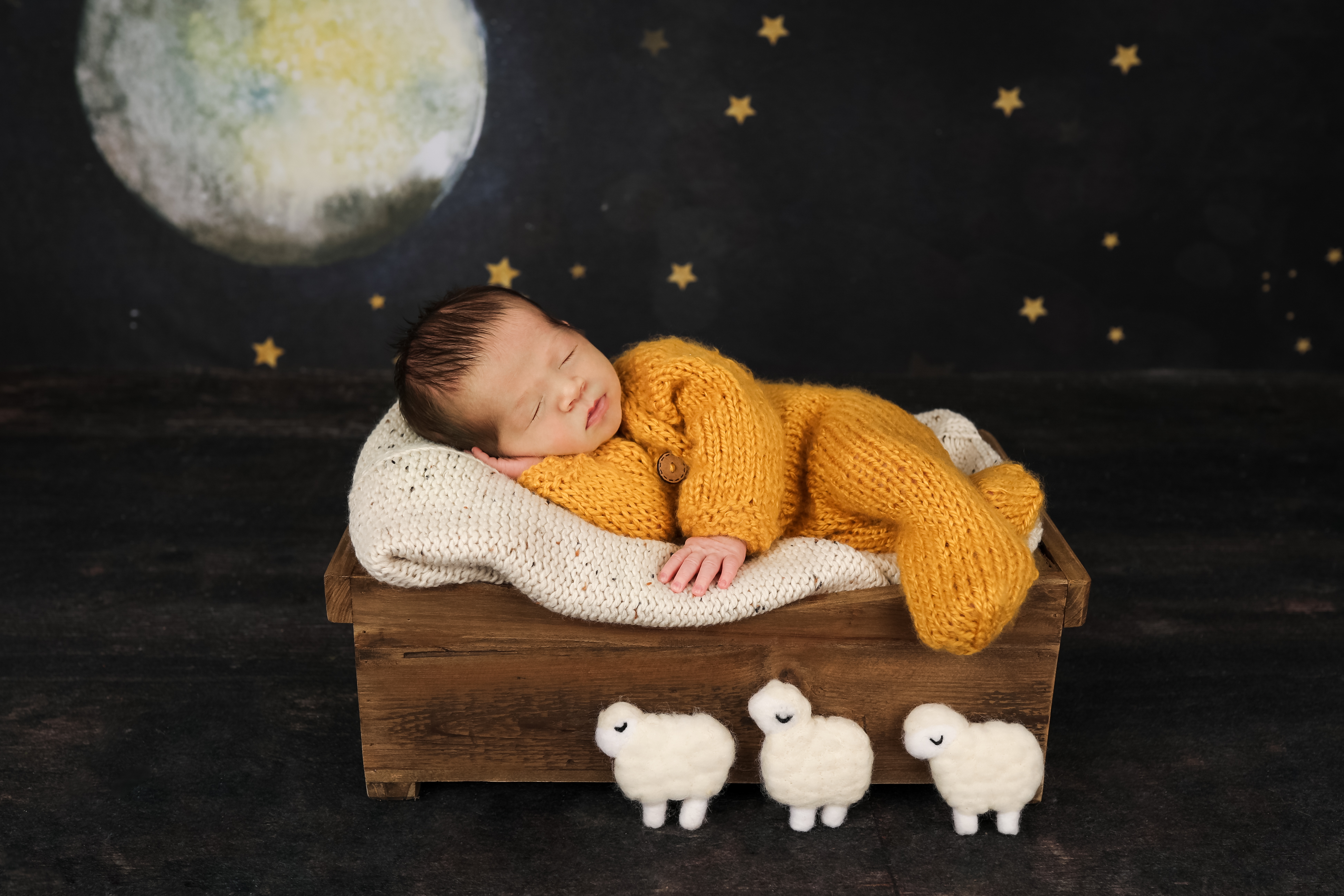 Becci Hethcoat Photography-Newborn Photographer-Wheaton--5